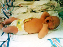 Dain Donald Schindele